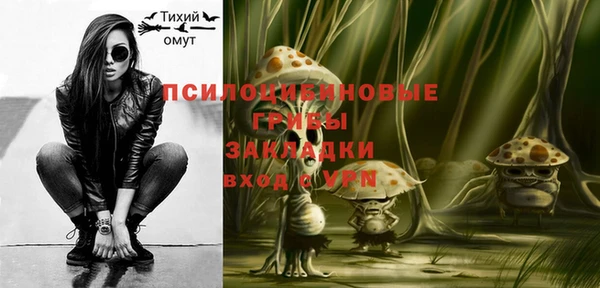 гидропоника Каменногорск